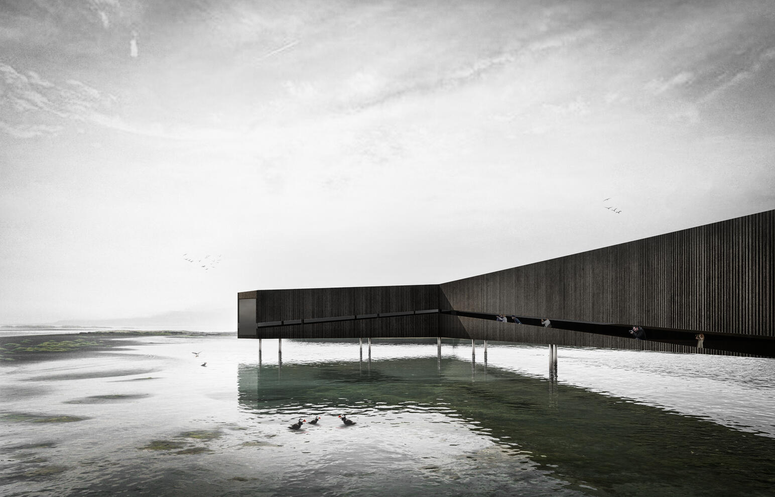 YAC Competition 3 // Iceland // Atelier Prospectif